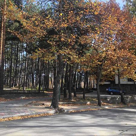 Borov Park 1 Apartment Velingrad Exterior foto