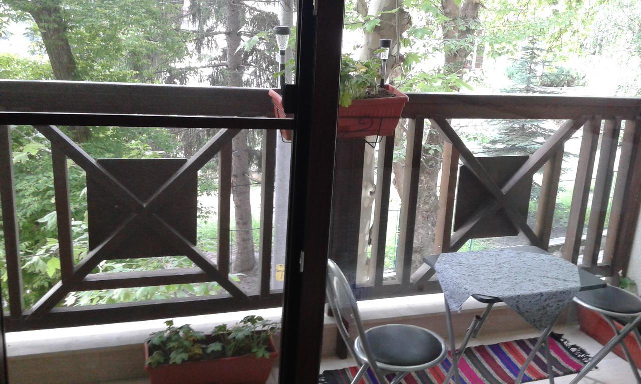 Borov Park 1 Apartment Velingrad Exterior foto