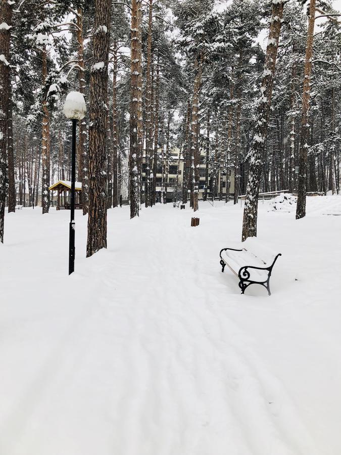 Borov Park 1 Apartment Velingrad Exterior foto