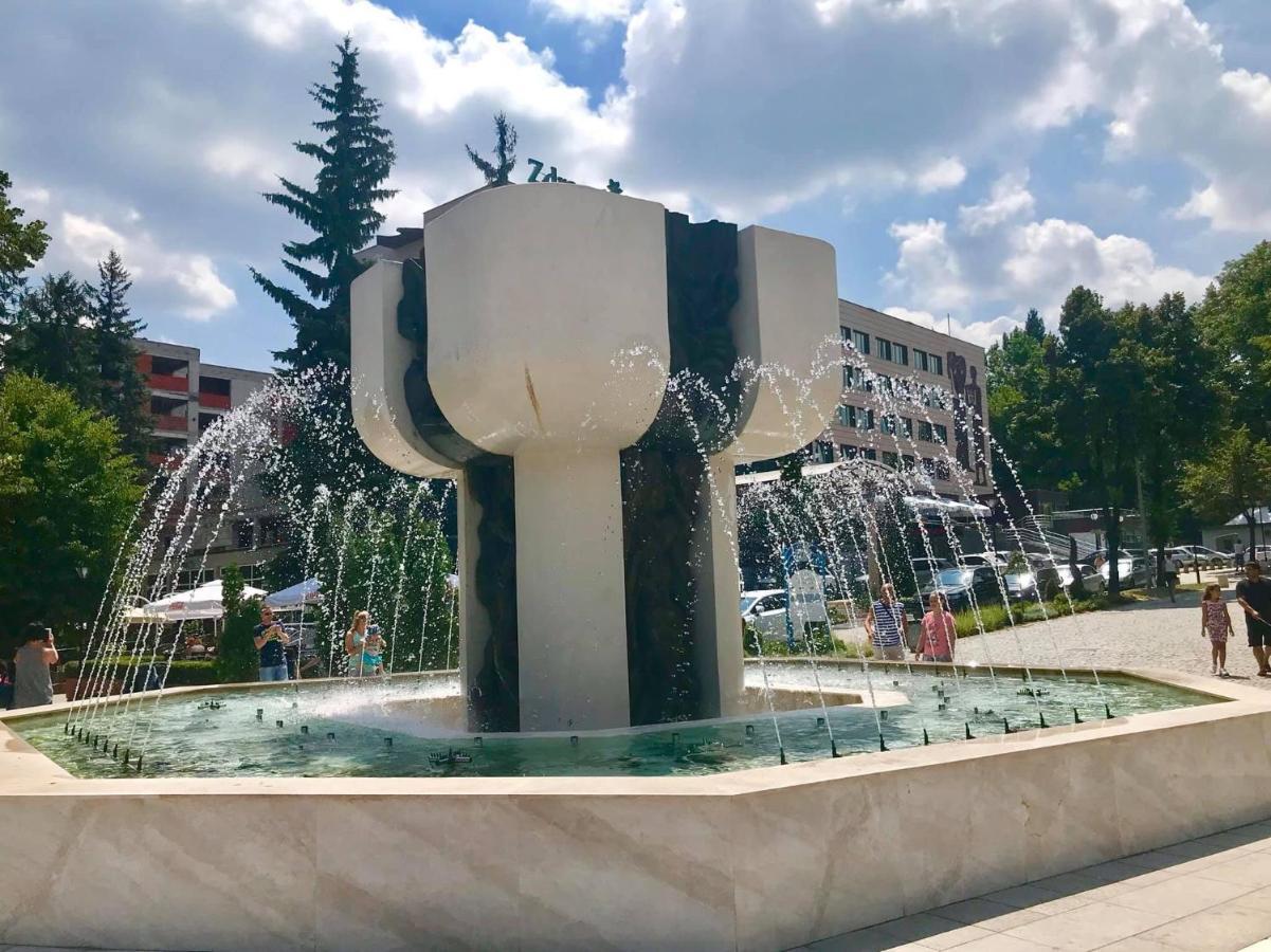 Borov Park 1 Apartment Velingrad Exterior foto